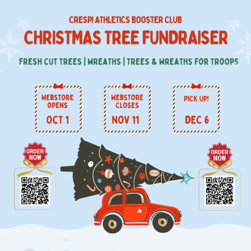 Christmas Tree Fundraiser