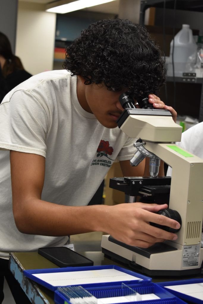 Mason Gonzalez '27 looking into a microscope